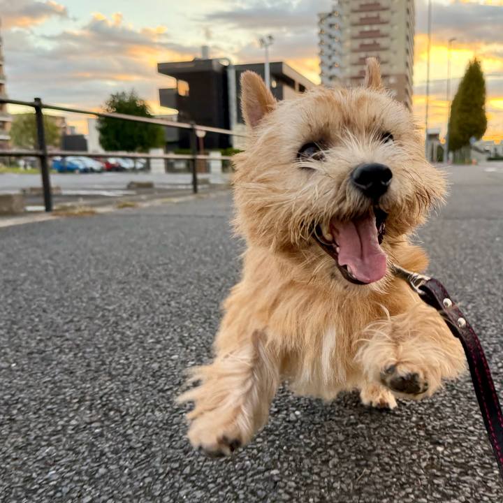 F8892ea7 0681 45d3 9532 d487f32236da 1761618250356