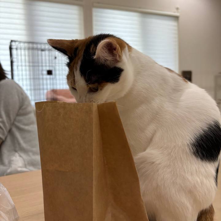 F8893486 ffb6 4ea3 8b8a 76b26fcd6170 1771471146335