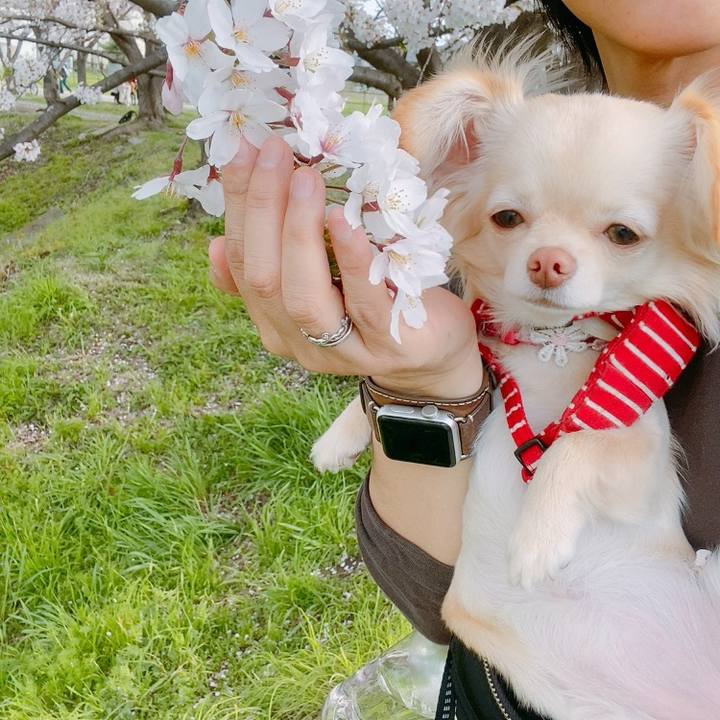 F8894398 cacf 40f3 a278 2c2b733073df 1617096091266