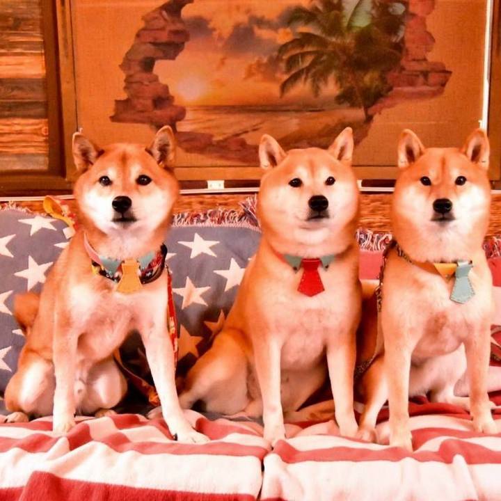 F8895f46 4129 4eb8 95b9 989cbc8c29b4 1673870446784