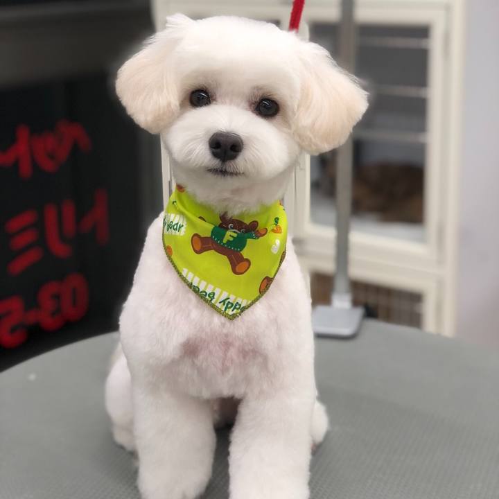 F88963b7 2471 4629 b91c 11e82dfe1c48 1569756222958