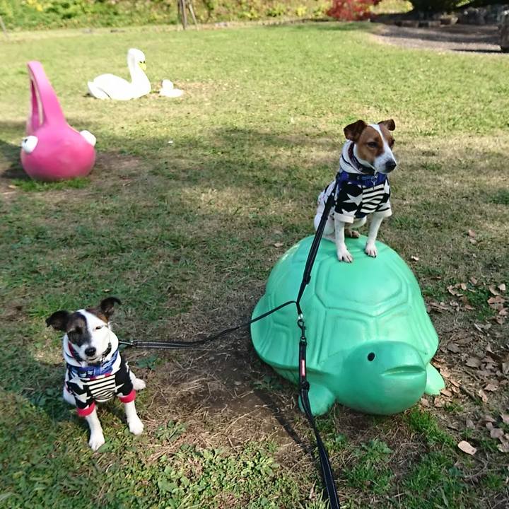 F88967d9 39c5 4e4c 8dbb 0fd3d5c54a8d 1543630830941