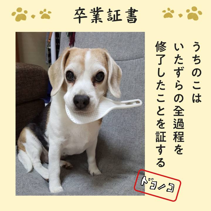 F8896989 874b 4b28 813a bf7e62e40ec2 1771888714997