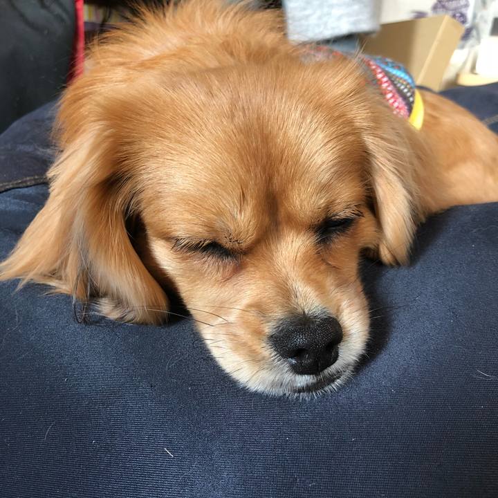 F889c850 58a2 4399 a67c f356ea982d49 1516415172223