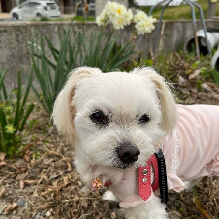 F889d3ba d9c4 41be a81e 49da28f55ce3 1681464862115