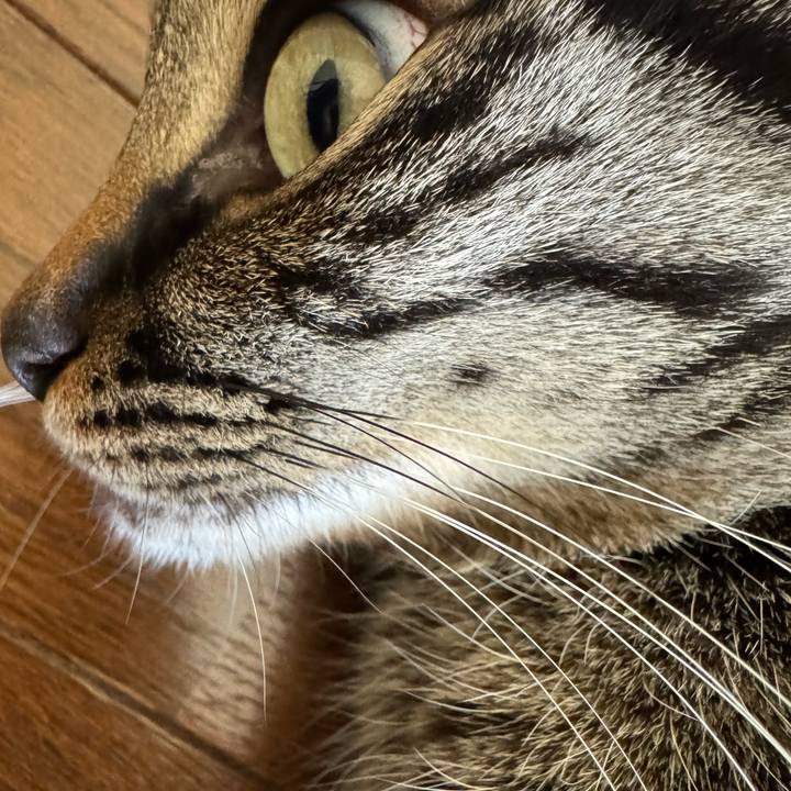 F88a19a1 780e 4e30 b46b e46b8e7d2a98 1716106351005