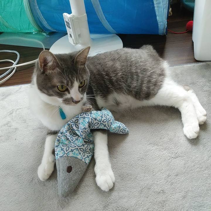 F88a3f20 d9d4 4a91 94be ce392a9d8073 1589938427221