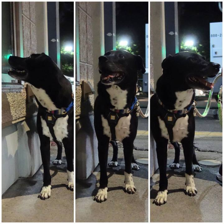 F88a88bb 5e19 4c0b 806e 2b2b20fb3d24 1661769305403