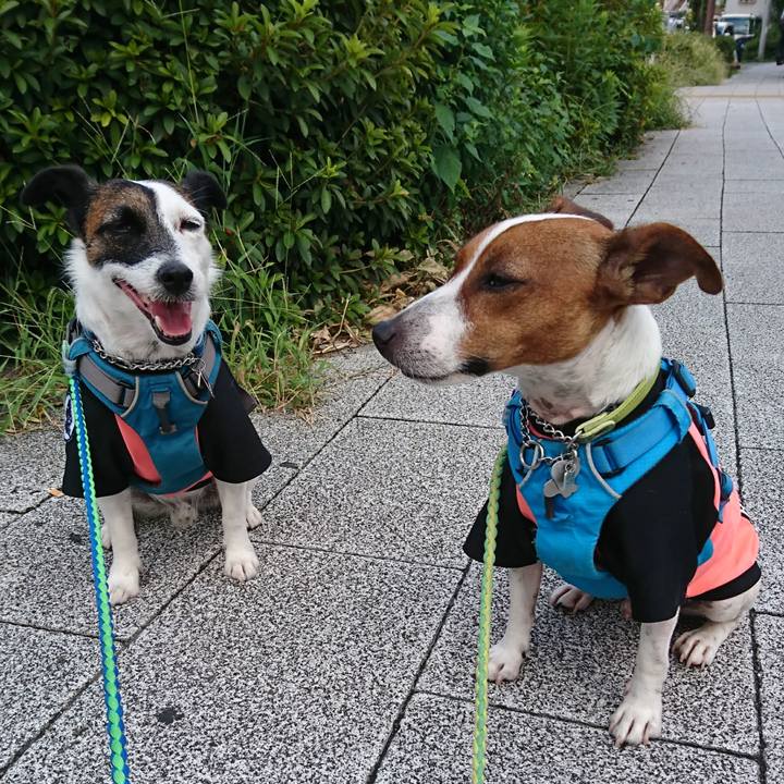 F88a8d6c fce4 4992 805b faaafcc19d8d 1598313235944