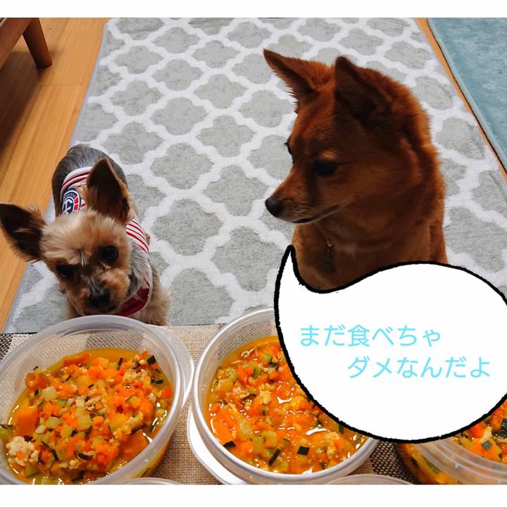 F88a9171 97fd 41bf a470 e50d857d1b59 1559053199514