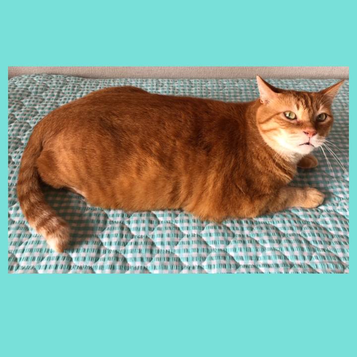 F88adcfc 7295 46a2 96e4 cbd380c0ca30 1657146215892