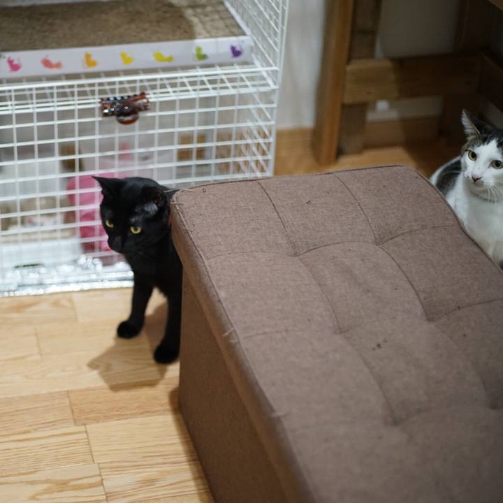 F88afb6f 47ee 4bd3 a645 e810fde24b4c 1523576491518