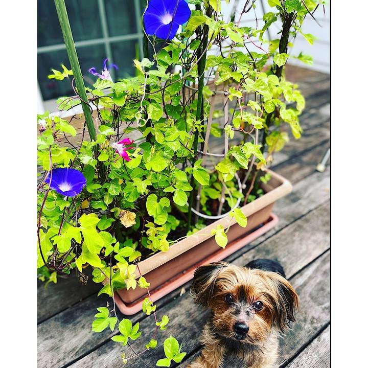 F88b24e5 fd38 42c3 9d66 71e7d60b7654 1662244191353