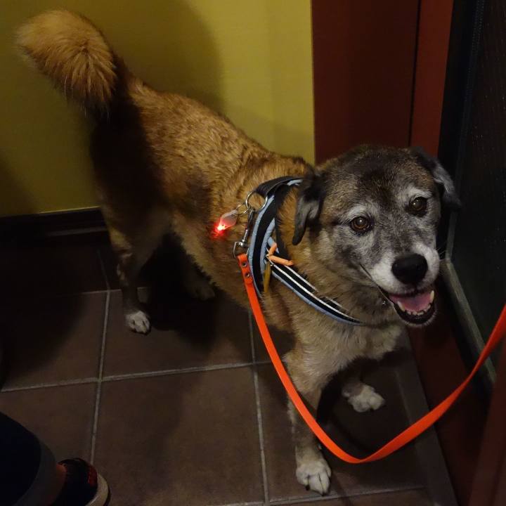 F88b2830 130e 4373 b7a2 c63f70886df6 1569407078942