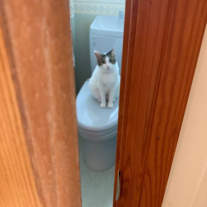 F88b6381 3b9c 4b54 9198 4a20ef8261a4 1564198532305