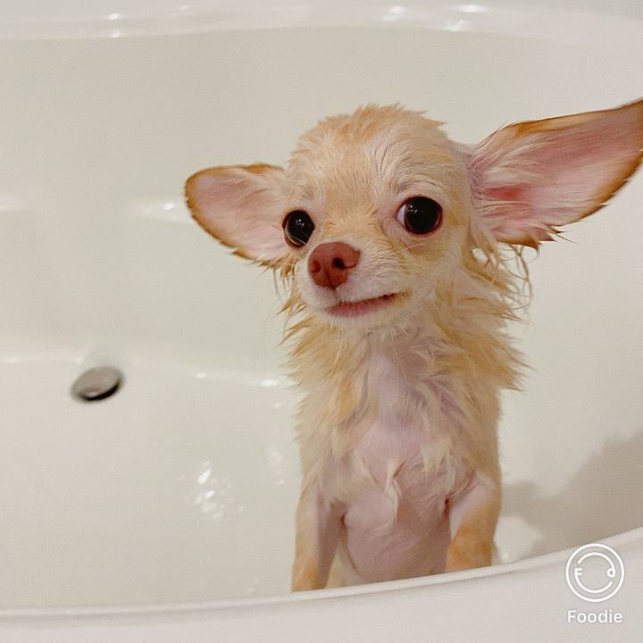 F88bddcf f358 4342 a03c 74b7d330532f 1599706162518