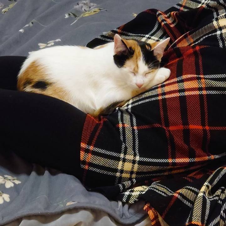 F88bfe7b 6a98 4a31 9698 0ca5c6d35748 1762091538162