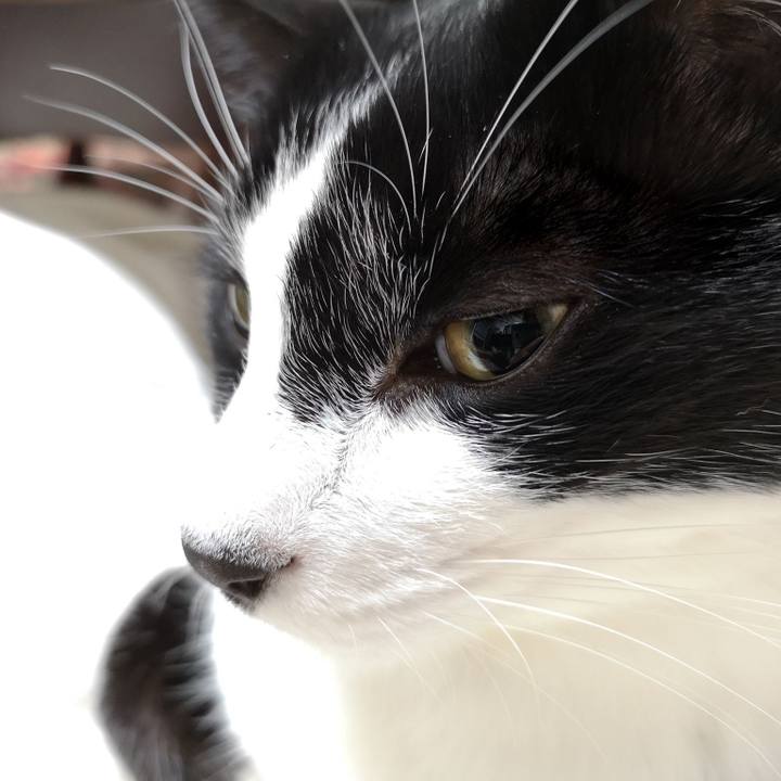 F88c4cc1 8b13 4113 bb93 9bc4dc4a4e77 1571714267309