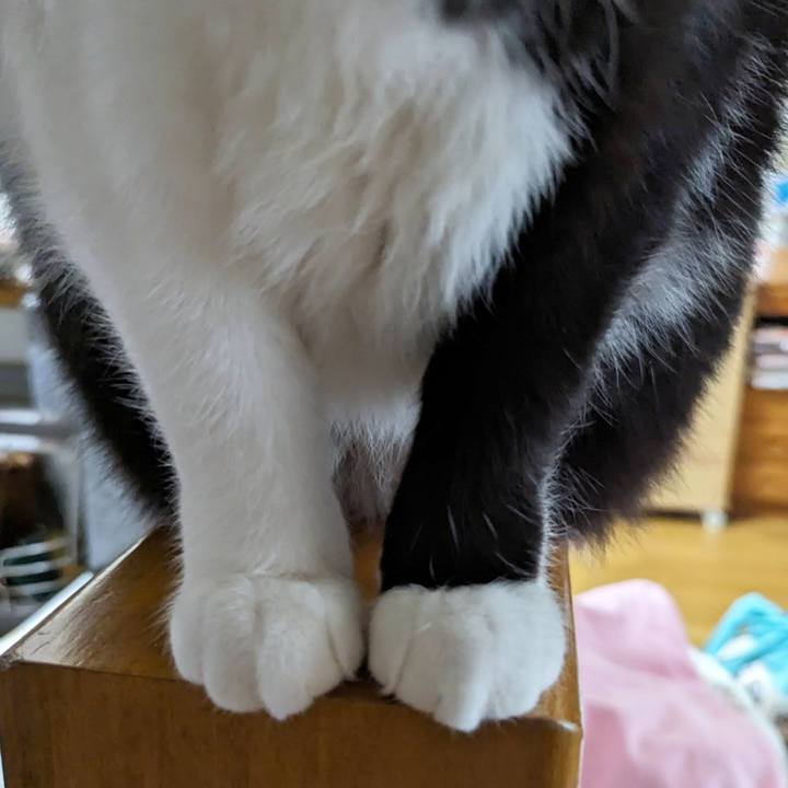 F88cbe94 d0e0 4f84 908b 5a1c64cf2c41 1707105298988