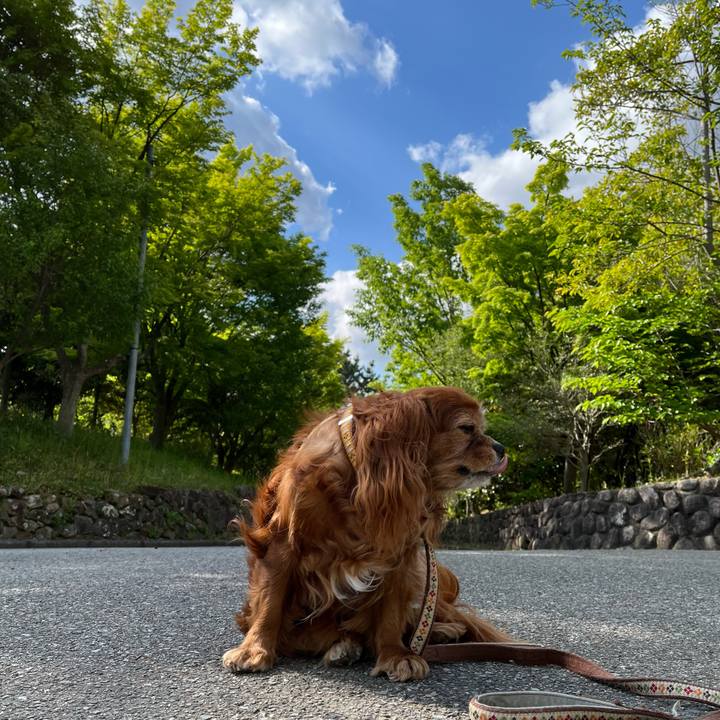 F88d1c69 07fb 4dc7 a841 1ae89934809d 1745885625082