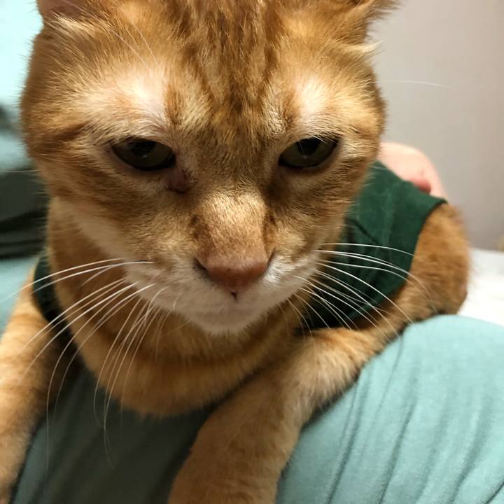 F88d3df7 8b7c 4273 b45c 530f92fe1770 1631015215320