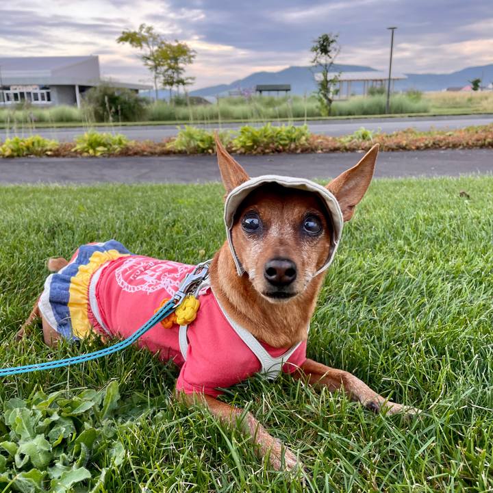 F88d4ce8 138d 469b 9cb6 fe465d3957f2 1693085741525