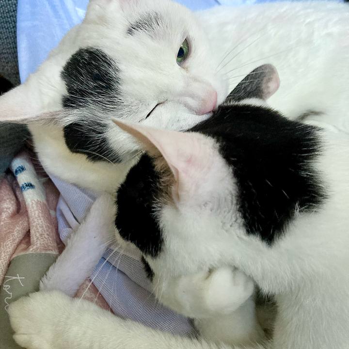 F88d5311 9165 48bd 8ef7 cdc8f0d70cc4 1664689928607