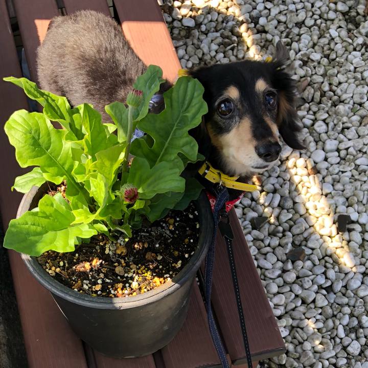 F88d80cf 4f66 4c06 8460 2384e6fbbbf6 1593390729137