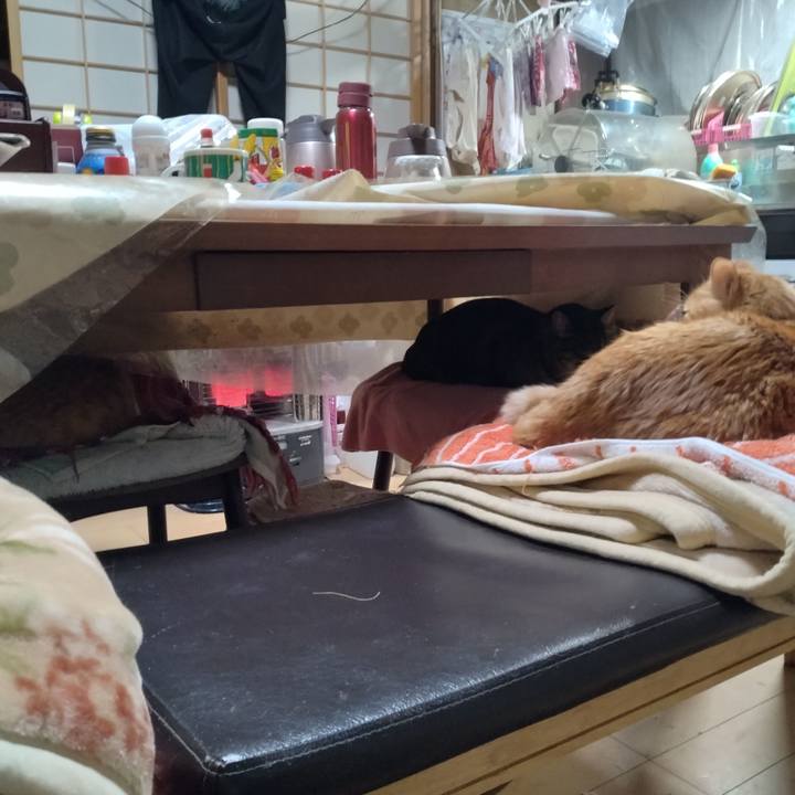 F88ddf26 234e 41c7 8804 a73e0a840174 1738398586144