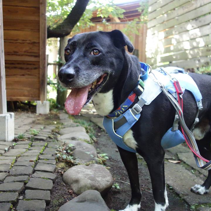 F88e2055 d8ac 421e abb4 25c790856219 1691628707512