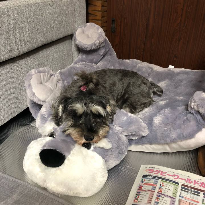 F88e43a1 8487 46ac bfb9 eab26c7d1357 1571669780737