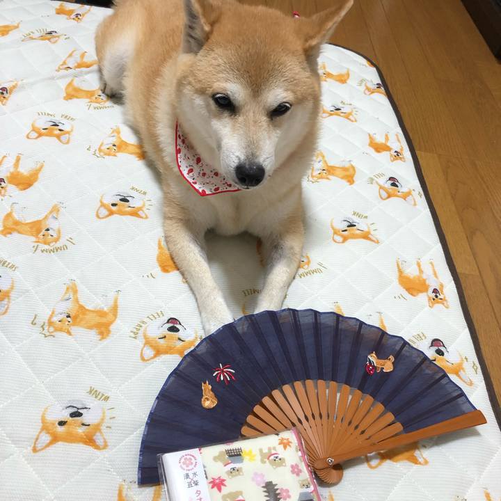 F88e5c47 cc30 4232 b4f0 eb7875771562 1563525681189