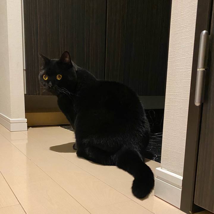 F88e70ec fd9b 4ad8 ba0d 0e3012d969b0 1700918889674