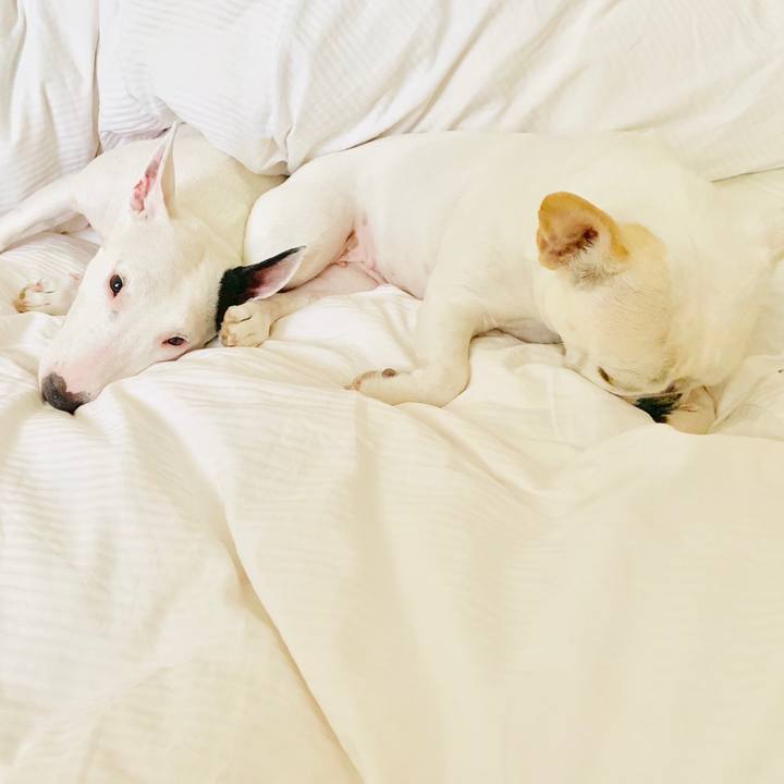 F88e97f2 e8eb 40c9 a1ef ecf00f6ec3c7 1559096629039