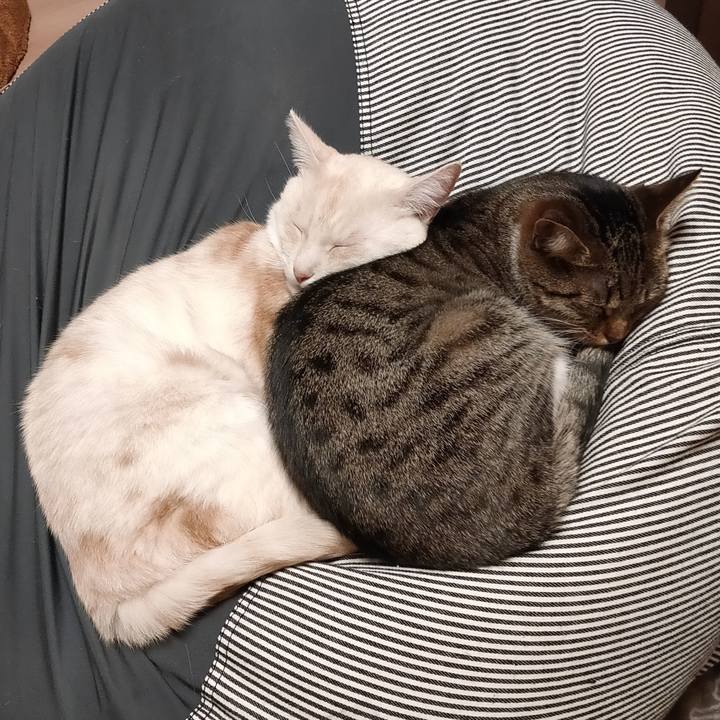 F88edab4 3790 4e7e a490 a958cb6802b1 1679911492276