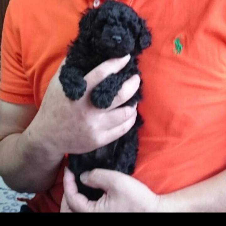 F88ef178 6ce6 464c 8c07 b1941039f29e 1682835649207