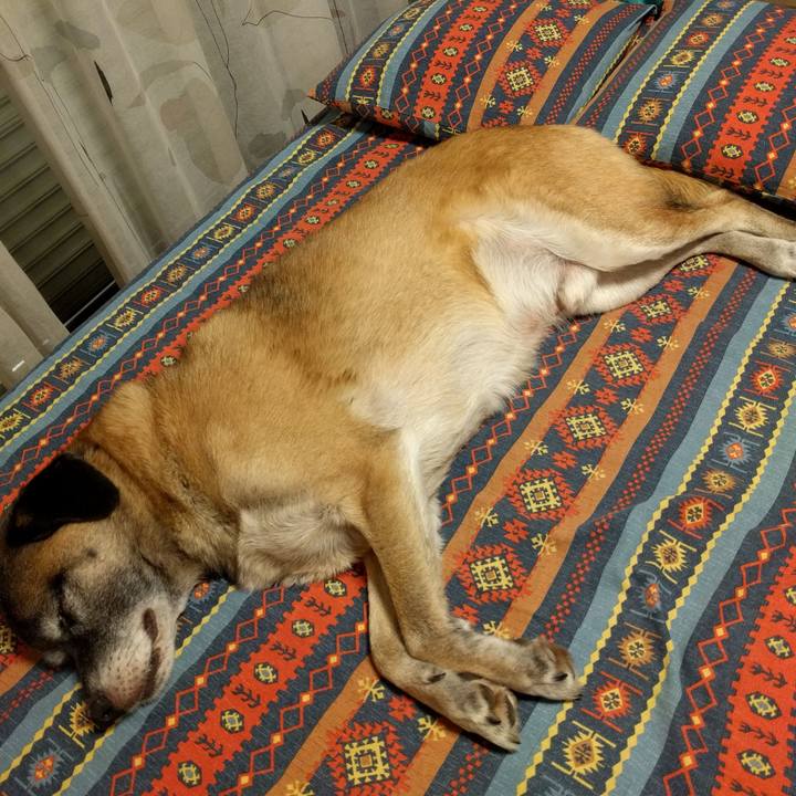 F88f08fd b89a 4214 a1f1 2428563ead4a 1688258974940