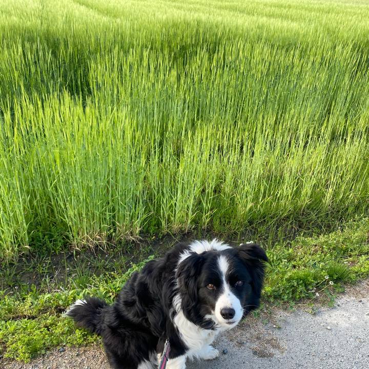 F88f1ba5 0fed 4760 a14c 54c2997ce0bb 1617665794966