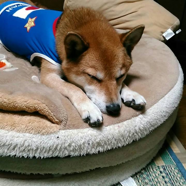 F88f8666 c827 4672 9f4c b436a49ede35 1568123668081