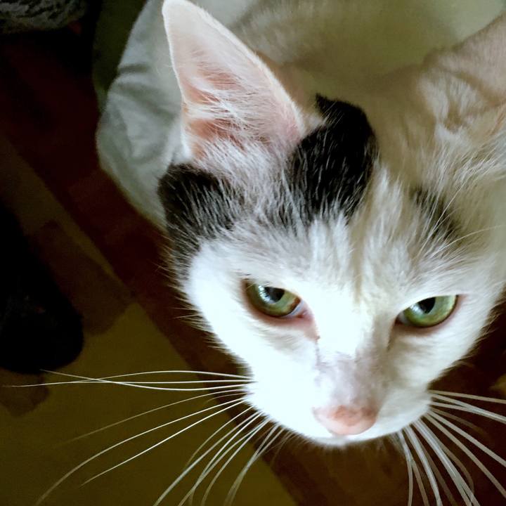 F88fe05a 2744 49de bdbe 95efbc7a3a36 1566457770677