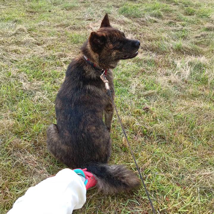 F8901839 aa22 4402 a434 57b26aa23fa4 1531045910102