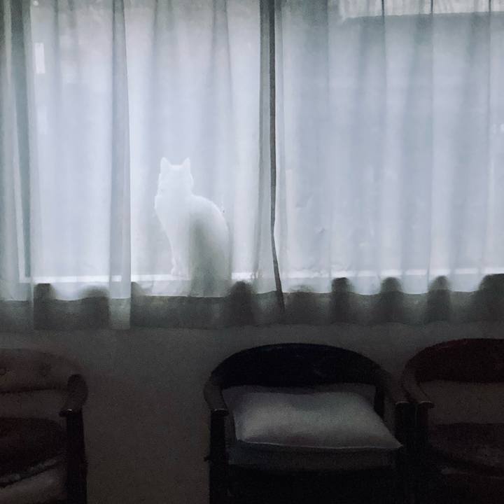 F89031a7 4e96 4d0a ae30 a5262ff7f2bc 1735857188474