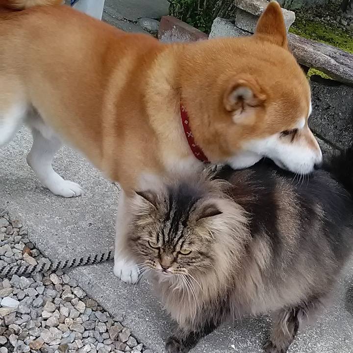 F89077de b76b 4d6c ba0a a5f78a70d879 1652763562442