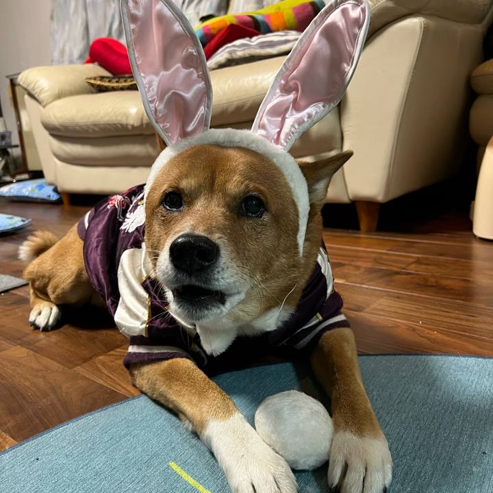 F890a953 e186 4aa6 b444 096e443bafe4 1672587760187