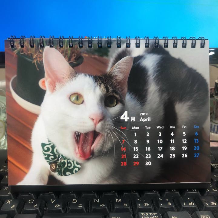 F890e9d1 ad19 49e6 bea4 bd94843bdd58 1553845927279