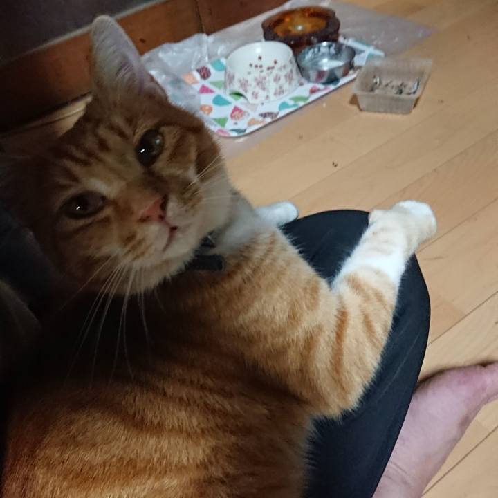 F8913e70 49ae 4e7e 9e3e 4424ae1e6bb1 1602841440920