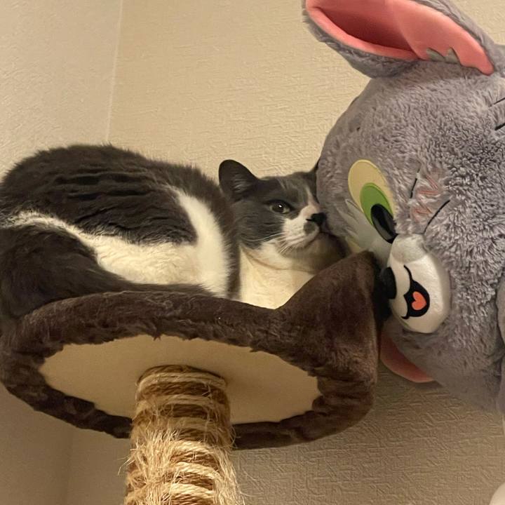 F89170eb 9077 495d b62e c9c3588cb89d 1736523315005