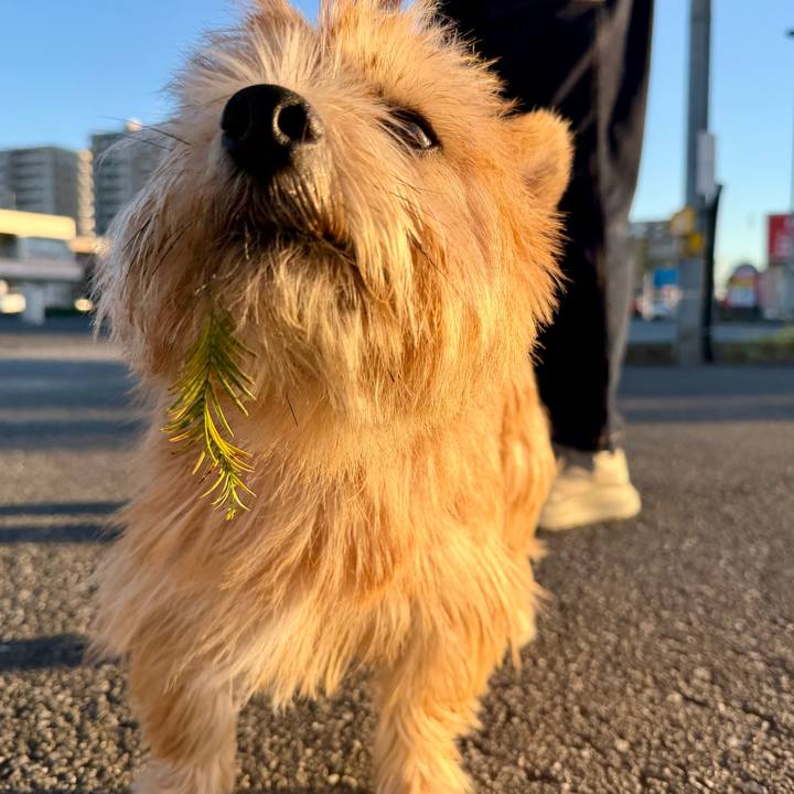 F891719a 1a8e 4f49 bddd f45393d46c21 1762178387644