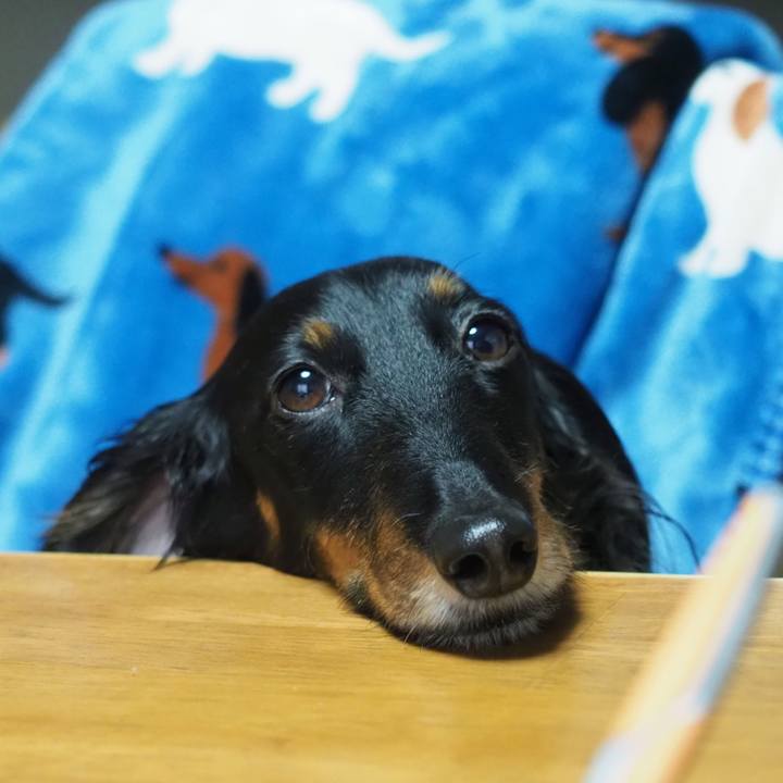 F8917a66 db7d 48da b556 8149a9e6d7ee 1611369320082