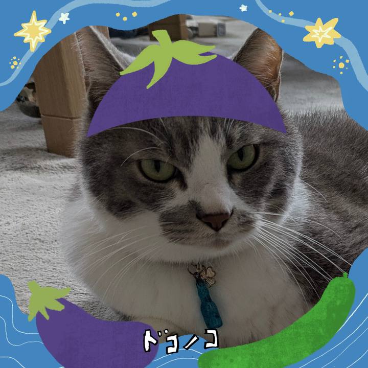 F8919d1c 8ab9 411d 88ea 46a0f55031cb 1755079558538